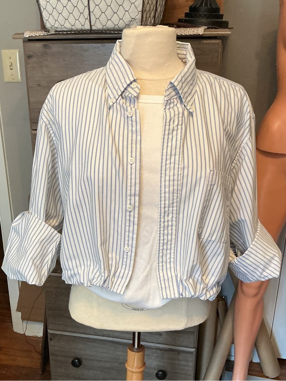 Striped Button-Front Cropped Shirt - Blue/White